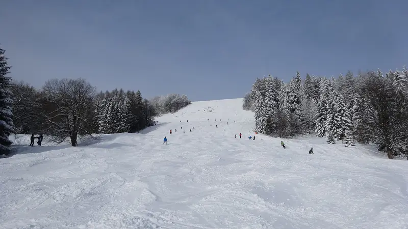 Skiers on a snowy Donovaly piste among the frosted trees (Nová hoľa)