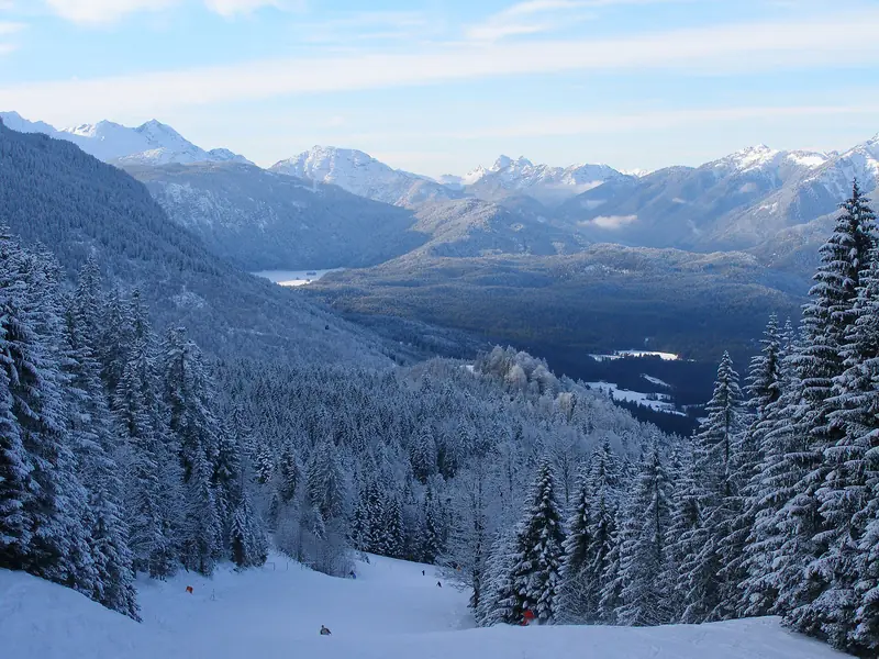The snowy valley and forested slopes of the Kandahar area above Garmisch-Partenkirchen, a Bavarian Alps panorama