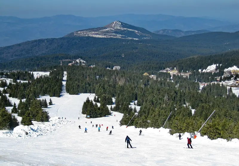 A broad groomed piste on Kopaonik with skiers, firs and the plateau ridge behind