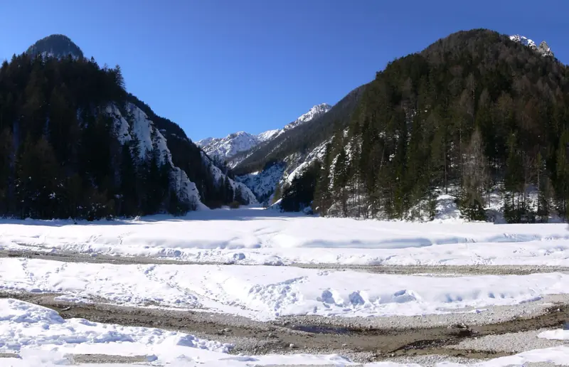 Ośnieżona dolina pod Alpami Julijskimi w okolicy Kranjskiej Gory