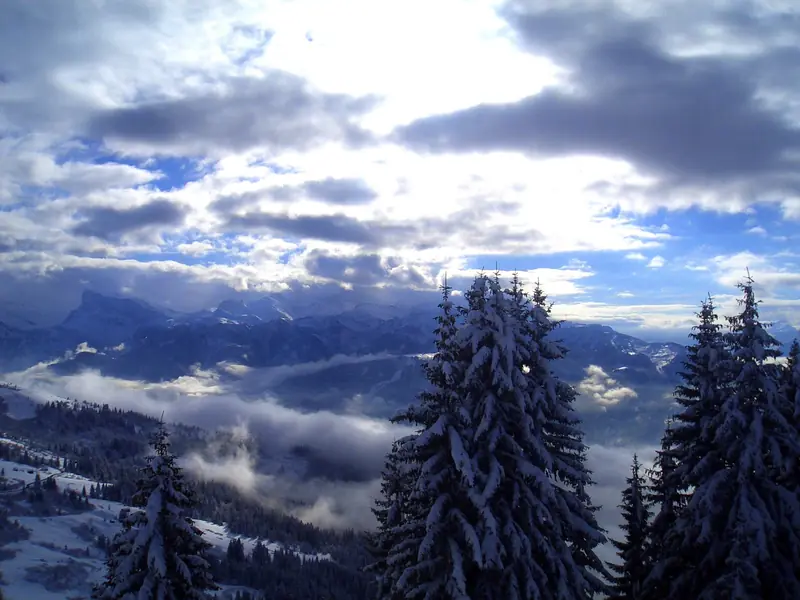 Widok z trasy nad Les Gets: ośnieżone świerki na pierwszym planie, morze chmur w dolinie i grzbiety Portes du Soleil w tle