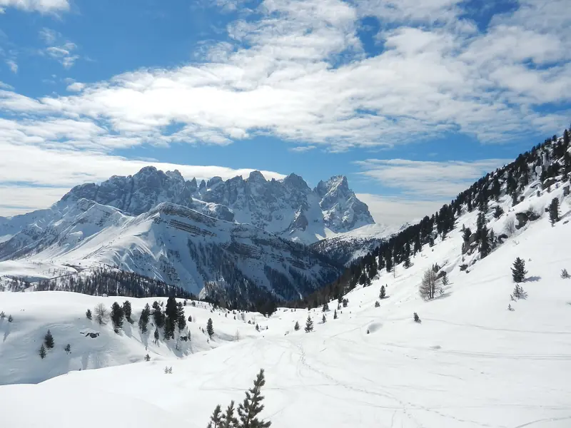 Ośnieżona ściana Pale di San Martino z iglicą Cimon della Pala w słoneczny dzień, zaśnieżona dolina ze śladami nart na pierwszym planie