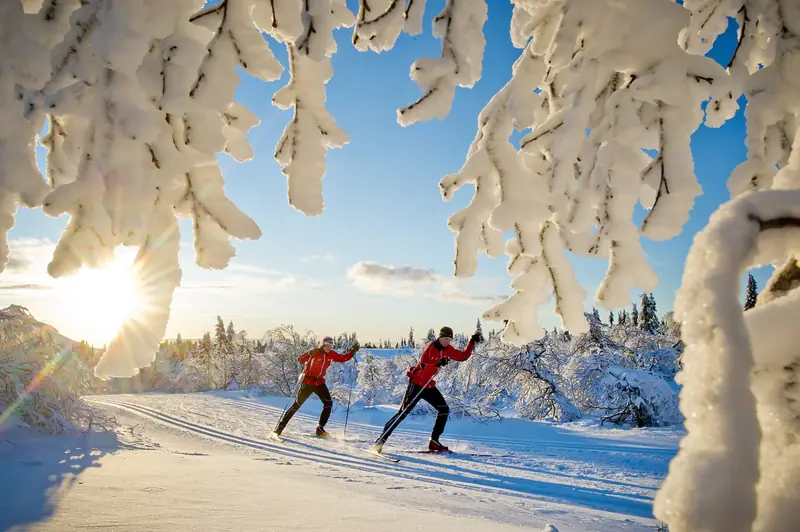Гірськолижний курорт Trysil